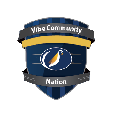 Vibe Nation.png