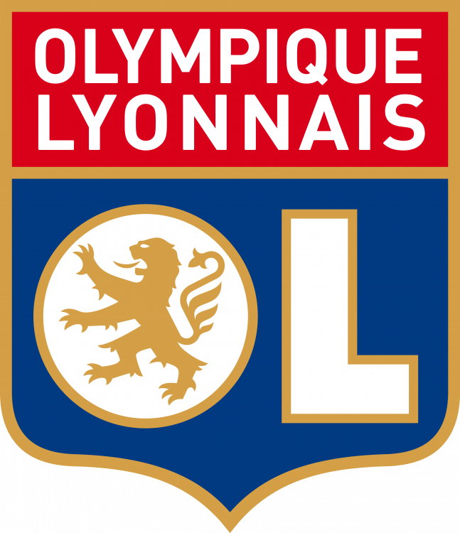 Lyonnais-Football-Club-Iron-on-Embroidered-Badge-Patch.thumb.jpg.23c6d0f95575908cbe0d9b1c784d8a14.jpg