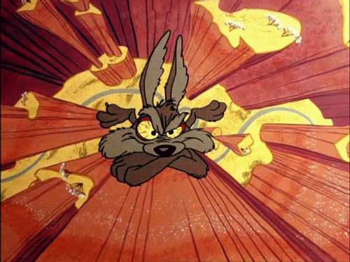 Wile.E-Coyote-Falling-Down-Animated-Picture.gif.b70ace31766c86d0b88974921788ab35.gif