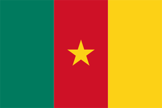 Flag_of_Cameroon.png.514010210107dc12cf2947ed780790db.png